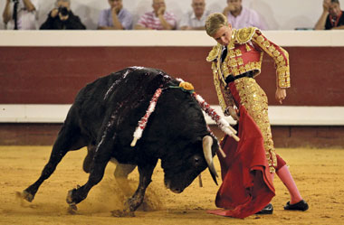 Le matador de toros français CLEMENTE sérieusement blessé au campo…