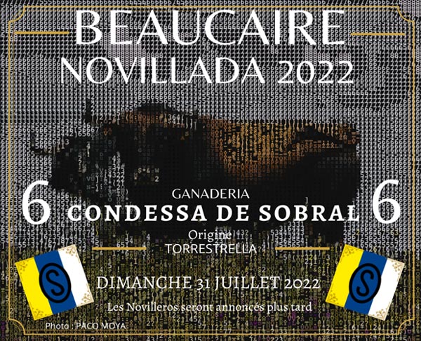 BEAUCAIRE – Une Ganaderia portugaise à l’affiche de la novillada …