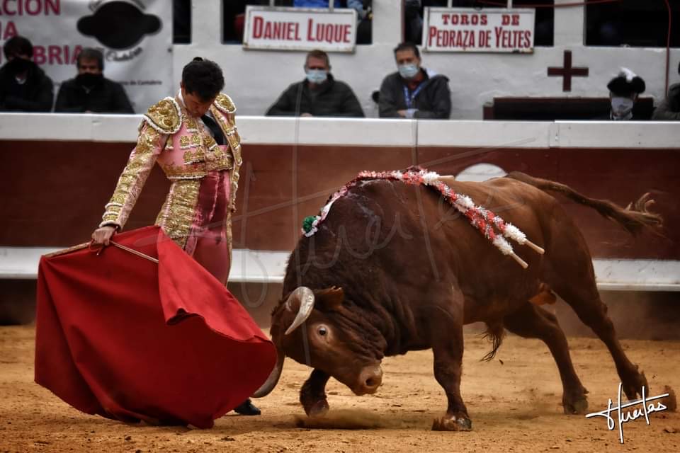 DAX 2022 – DANIEL LUQUE seul face à six toros de La Quinta !