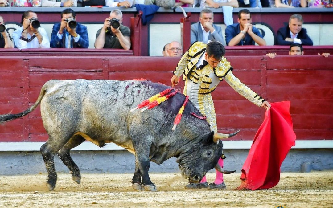 MADRID (31.05.2022) – Héroïque GOMEZ DEL PILAR. Oreille et blessure.