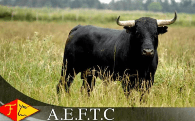 Loi Caron – Communiqué des éleveurs français de toros de combat …