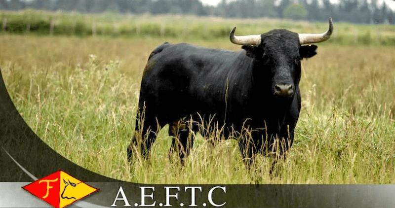 Communiqué de l’Association des Eleveurs Français de Toros de Combat…