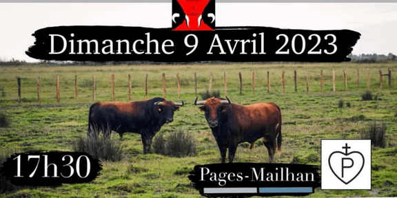 AIGNAN – Aignan y toros fera confiance à deux fers français pour sa journée taurine !