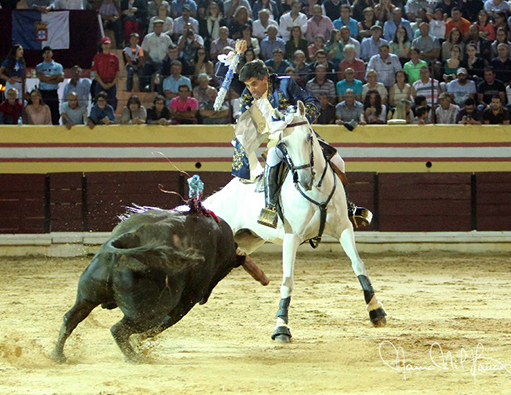 Luis Rouxinol