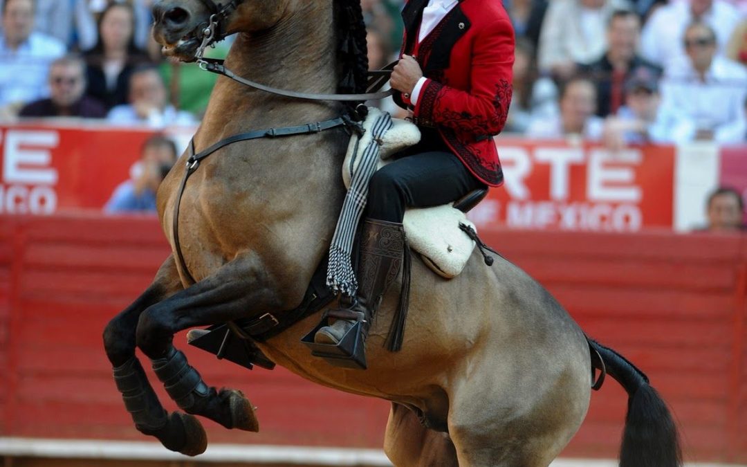 Pablo Hermoso de Mendoza