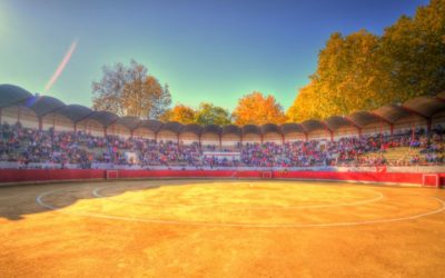 AIRE SUR L’ADOUR – Des novillos d’origine Santa Coloma – Buendia pour la Novillada des Arsouillos…