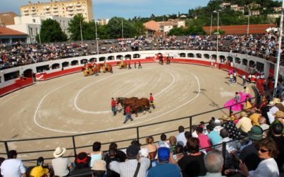 ALES – Les ganaderias de la Feria de l’Ascension 2023 dévoilées …