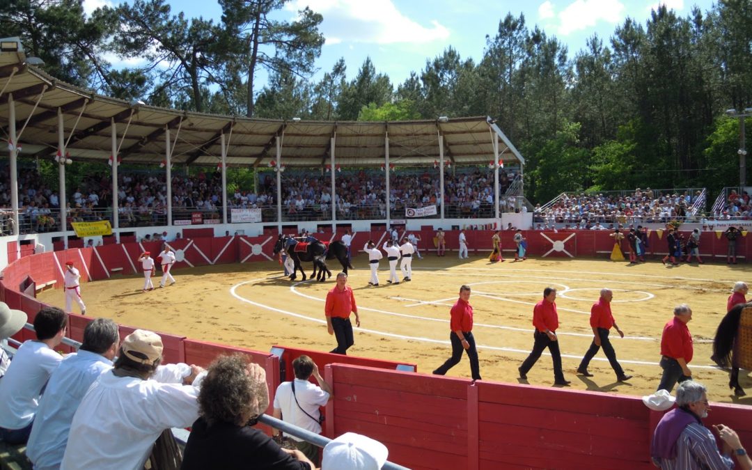 CAPTIEUX – Rugby y Toros a dévoilé le cartel de sa novillada …