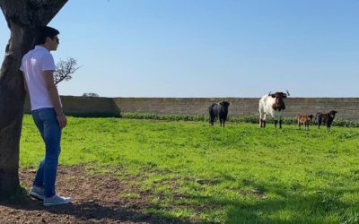 El Rafi a rendu visite à Cerecillo…