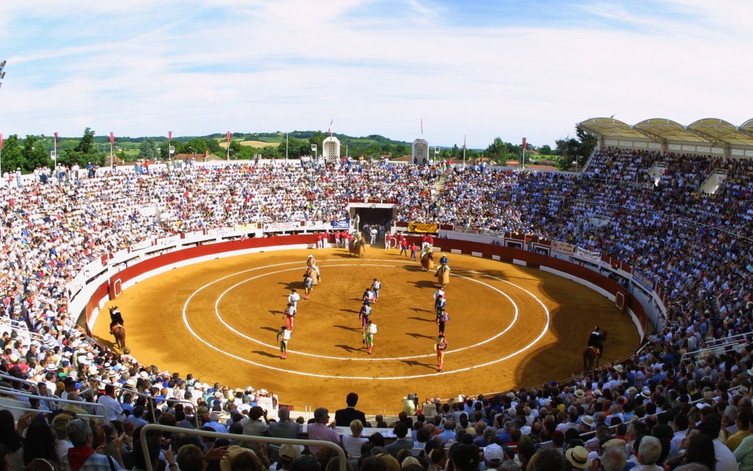 VIC-FEZENSAC – Les ganaderias de la Feria du Toro 2022…