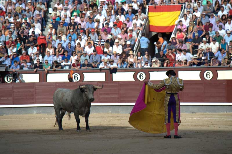 Madrid – La Feria de San Isidro officiellement suspendue.