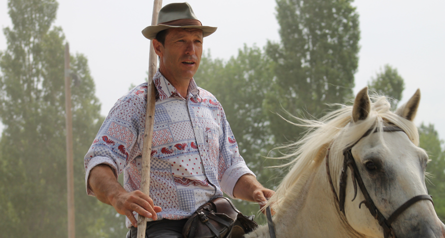 Votre corrida ou tienta… rien que vous avec la Ganaderia Fernay