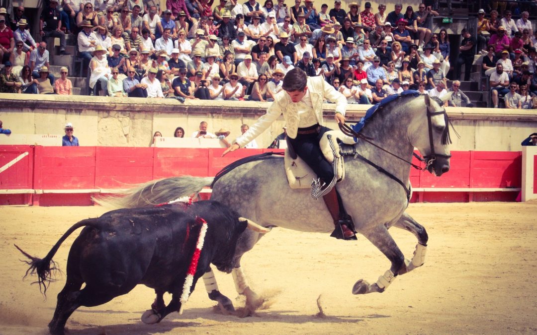 Nîmes (10.06.2019, matin). Triple Porte des Consuls…