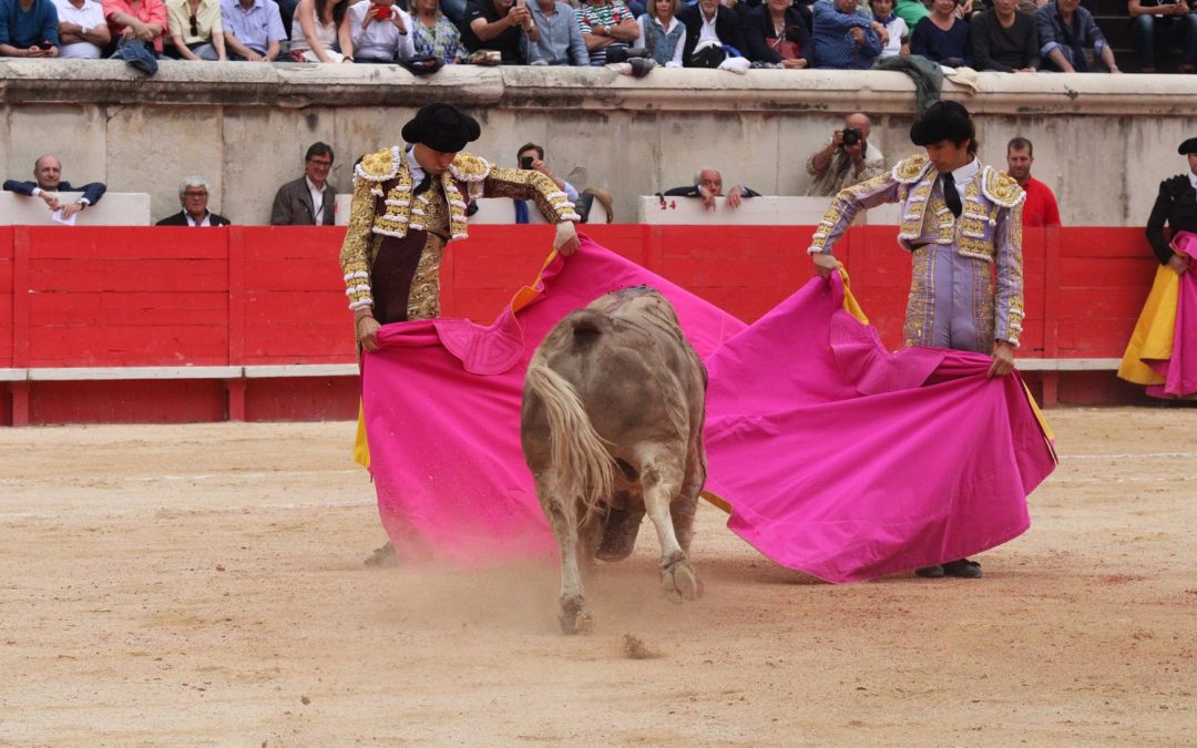 Nîmes (09.06.2019, tarde). Les Juan Pedro Domecq gâchent la fête…