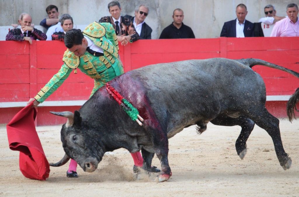 Nîmes (10.06.2019, tarde). Une seule vuelta pour Octavio Chacon dans un final sans éclats.