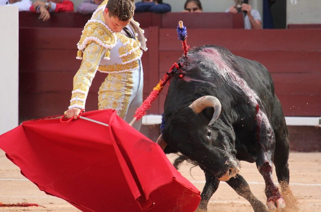 Istres (14.06.2019). Adrien Salenc coupe l’oreille de son toro d’alternative. Une oreille pour Andres Roca Rey.