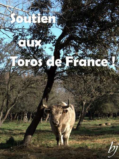 Soutien aux Toros de France – Initiative solidaire …