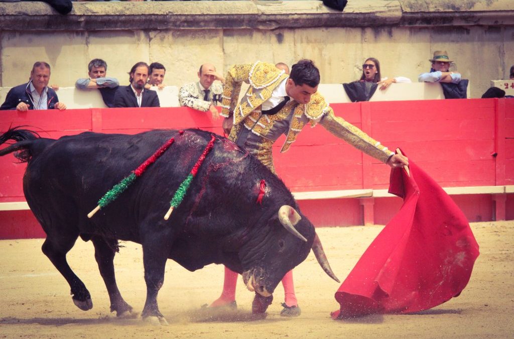 Le matador de toros PACO UREÑA sérieusement blessé à Abaran.