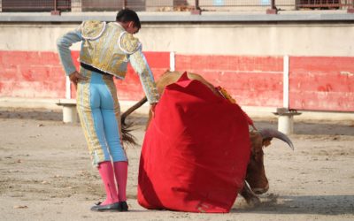 Bellegarde – La IVème édition du Trophée Sebastien Castella aura bien lieu…