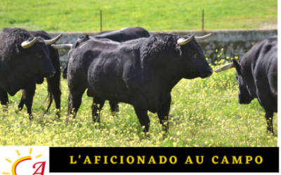 La temporada 2020 d’Andalucia Aficion…