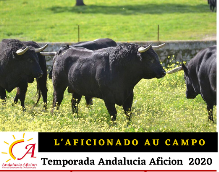 La temporada 2020 d’Andalucia Aficion…