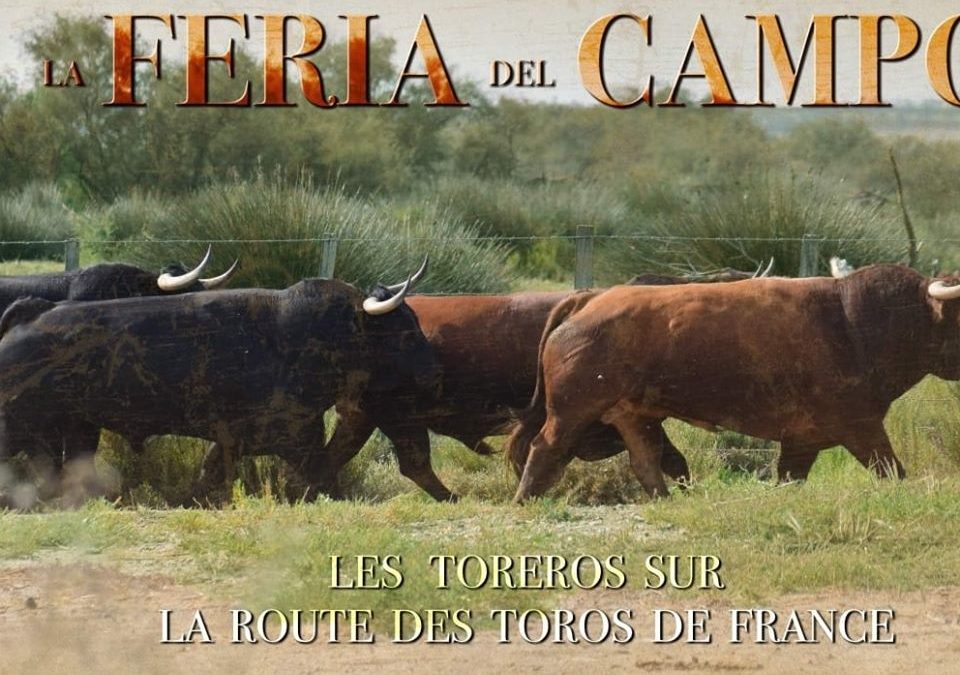 Feria del Campo Sud-Est: la programmation détaillée.