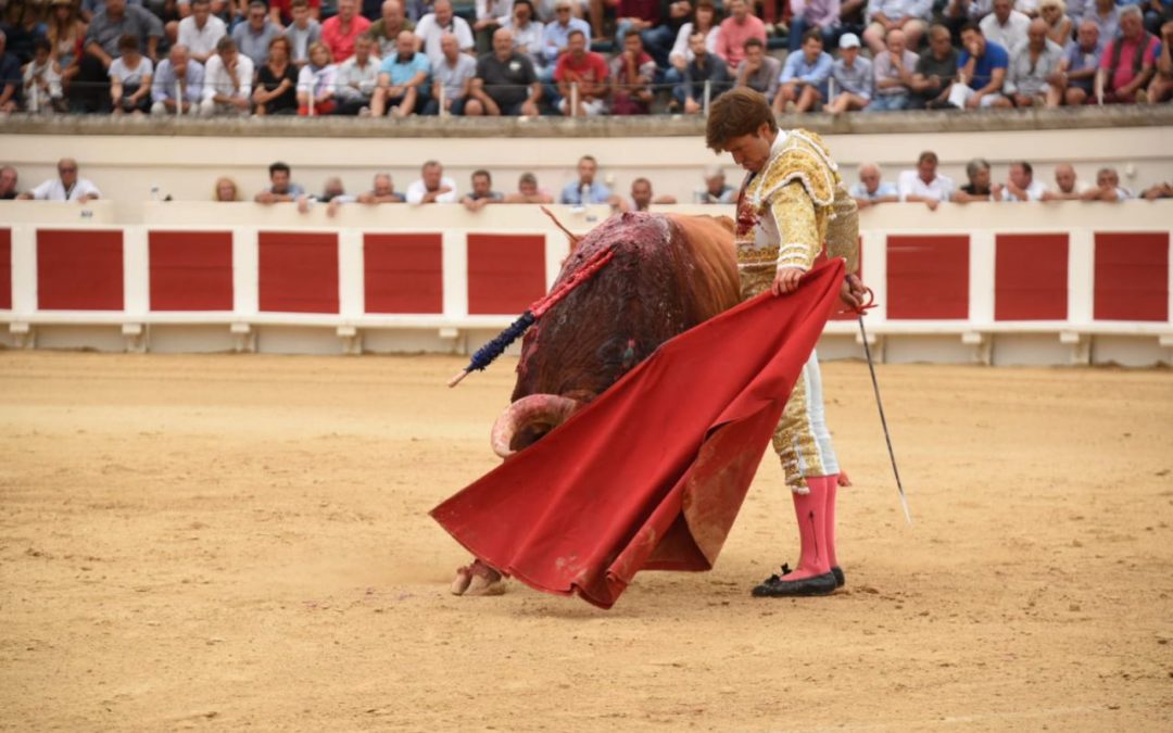 Béziers (18.08.2019, tarde) Juan Leal triomphe des Pedraza avec trois oreilles.