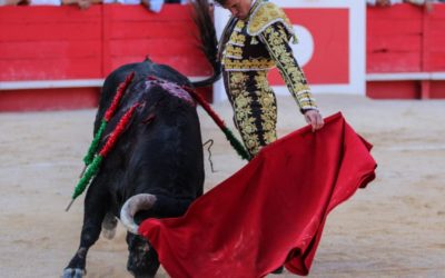 Aranjuez – Daniel Luque seul contre six pour la Corrida Goyesque du 4 septembre…