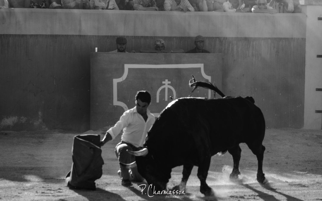 Mercredi au Campo chez Valverde – Reportage photographique de la deuxième journée…