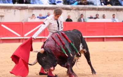 Feria de la Crau – ANDY YOUNES remplace THOMAS JOUBERT.