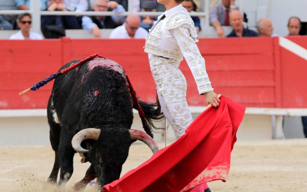 Un nouvel apoderado pour ANDY YOUNES…