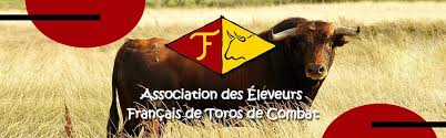 Toros de France – Un nouveau président pour l’association des éleveurs français de toros de combat.