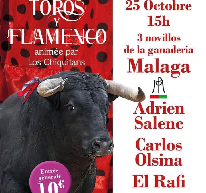 SAINT-GILLES – La Fiesta Campera Toros y Flamenco c’est ce dimanche…