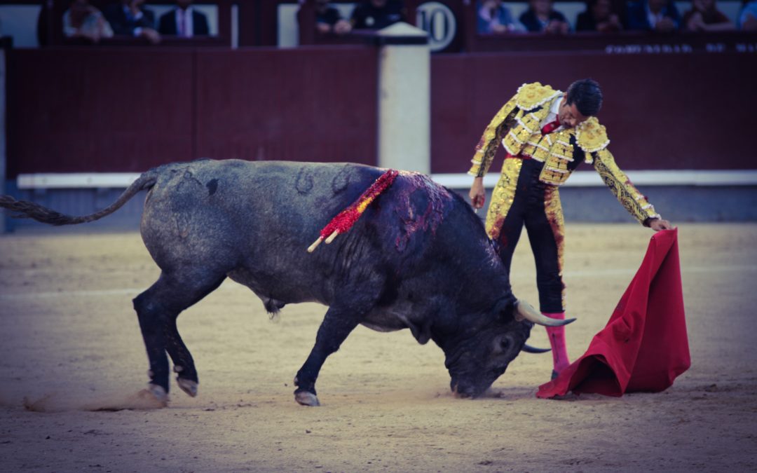 EMILIO DE JUSTO – Une cuadrilla au grand complet pour 2021…