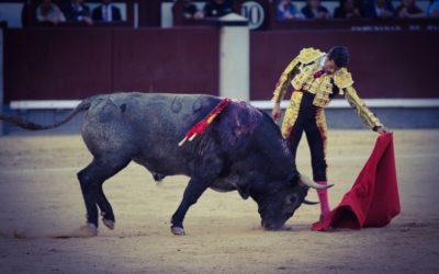 EMILIO DE JUSTO – Une cuadrilla au grand complet pour 2021…