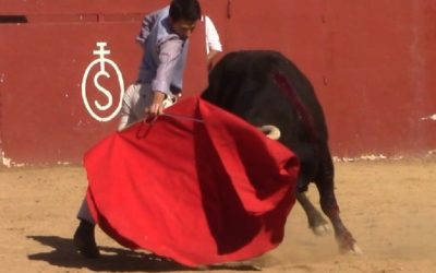 Le novillero “KIKE” invité de Torolive dans “A pié de albero” …