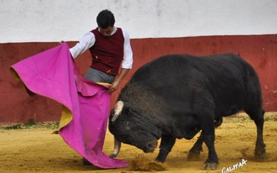 Le novillero Cristóbal Reyes va rejoindre le Mexique et Juan José Padilla…