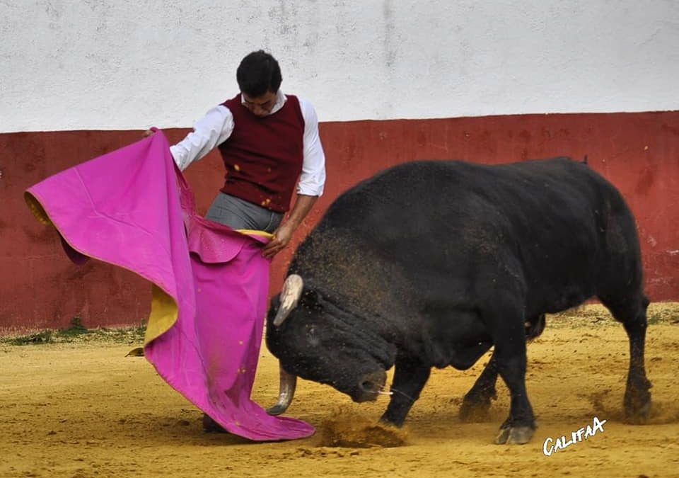 Le novillero Cristóbal Reyes va rejoindre le Mexique et Juan José Padilla…