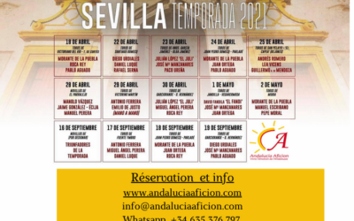 Des toros et Seville en Avril avec Andalucia Aficion…