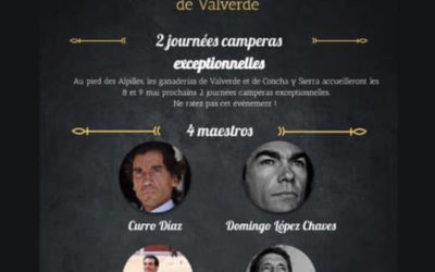 Report de la Primavera de Valverde les 12 et 13 juin…