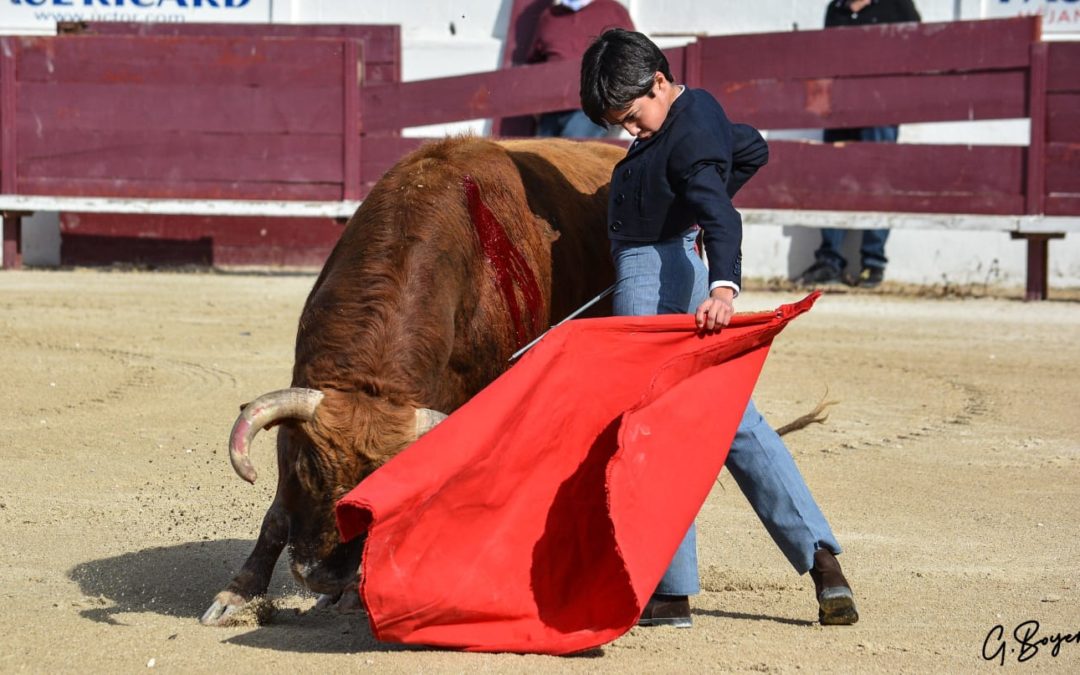 MARCO PEREZ, l’avenir se prépare en Camargue…