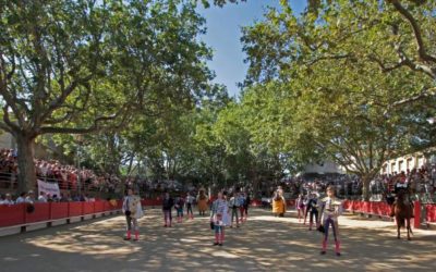 TARASCON – Cartels officiels de la Feria de la Jouvenço 2025 !