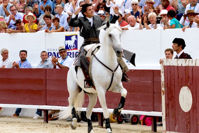 MEJANES – Une affiche de haut vol pour le 49eme Rejon d’Or…