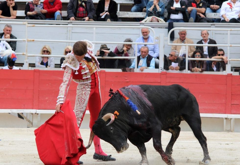 ISTRES – MAXIME SOLERA remplacé pour la corrida de Los Tres Caminos…