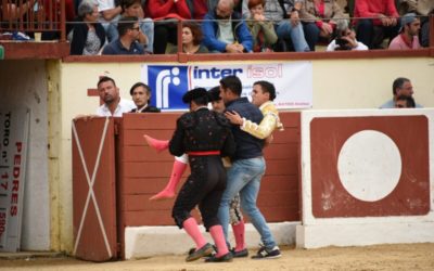 ORTHEZ (14.07.2021) – Grave cornada pour EL ADOUREÑO, la corrida suspendue…