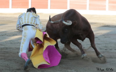 CERET (17.07.2021) – Ces durissimes toros navarrais !
