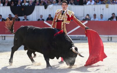 ALEJANDRO TALAVANTE , à Arles et nulle part ailleurs en 2021…