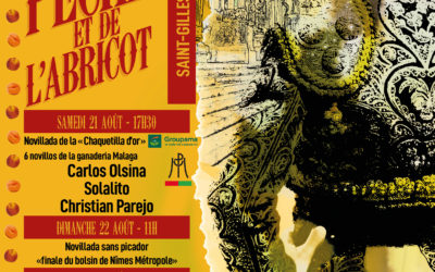 SAINT-GILLES – Ouverture de la billetterie téléphonique…