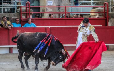 TARASCON – Cartel officiel de la novillada du 9 juillet …