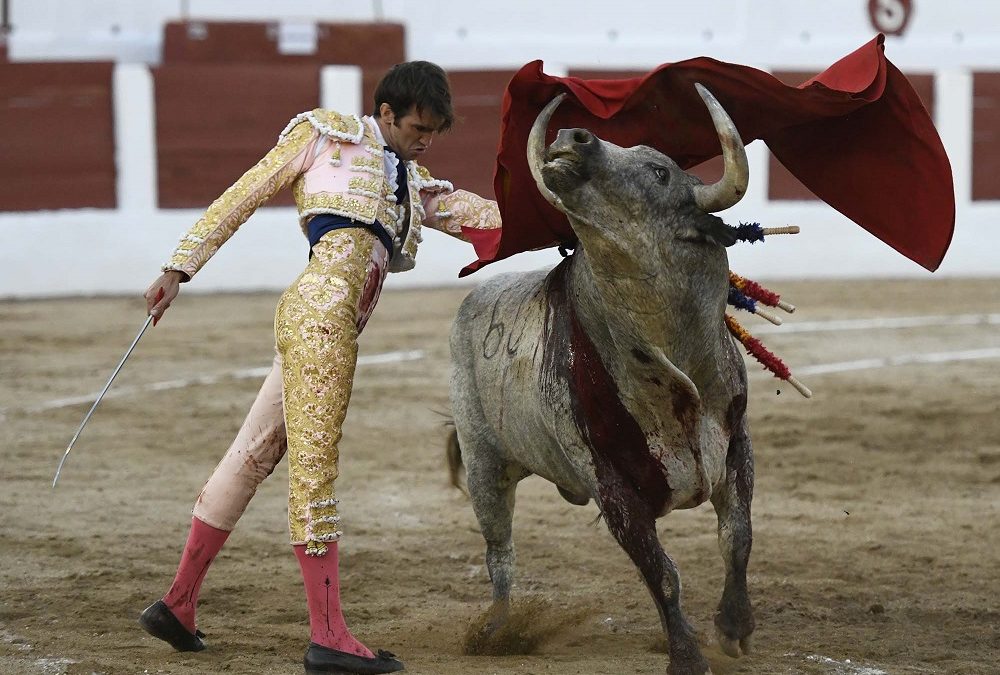 LINARES (27.08.2021) Blessure de JAVIER CORTES et triomphe pour ADRIAN DE TORRES avec trois oreilles.